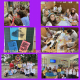 2023-09-01_Day_of_knowledge_058