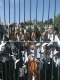 2023-06-05_golosi_ditey_004