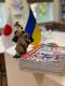 2024_06_11_JETRO_visit__017