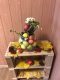 apple_day_2021__008