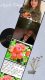 apple_day_KGSM_22__008