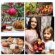 apple_day_KGSM_22__017