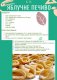 apple_day_KGSM_22__023