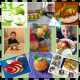 apple_day_KGSM_22__027