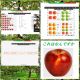 apple_day_KGSM_22__028