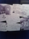 babiy_yar (11)
