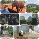 china_distance__19