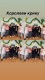 day_cosplay_2020__07