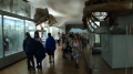 geography_museum_5