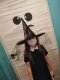 hallowen_2020__07