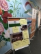 nonviolent_india_5