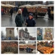 kvest_mandruyemo_evropoyu__5