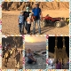 podorozh_india_iran__9