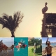 oriental_trip_distance__1