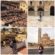 oriental_trip_distance__4