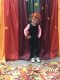 osinzolota_day_2020_02
