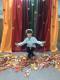 osinzolota_day_2020_09