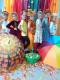 seredina_oseni_day_2020_10