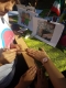 Osvitniy_upgrade_16