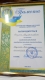 rodinniy_fest_2