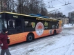 troleybus6
