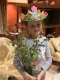 velikodnya_radist_vdoma__20