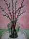 vesnyana_feeria__2