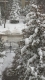 winter_cleaning_6