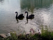 zoopark_12_month_2