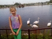 zoopark_12_month_3