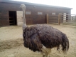 zoopark_12_month_5
