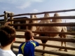 zoopark_12_month_6