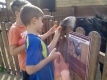 zoopark_12_month_7