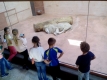 zoopark_12_month_9